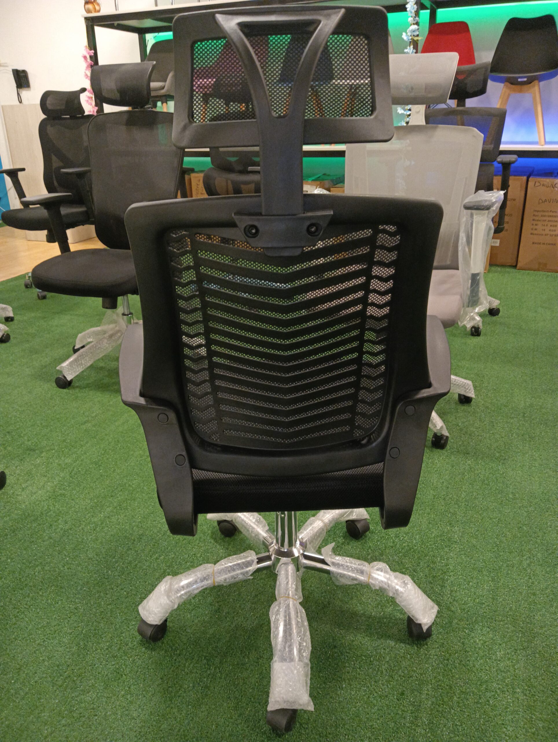 WhatsApp Image 2025-01-22 at 7.55.54 PM