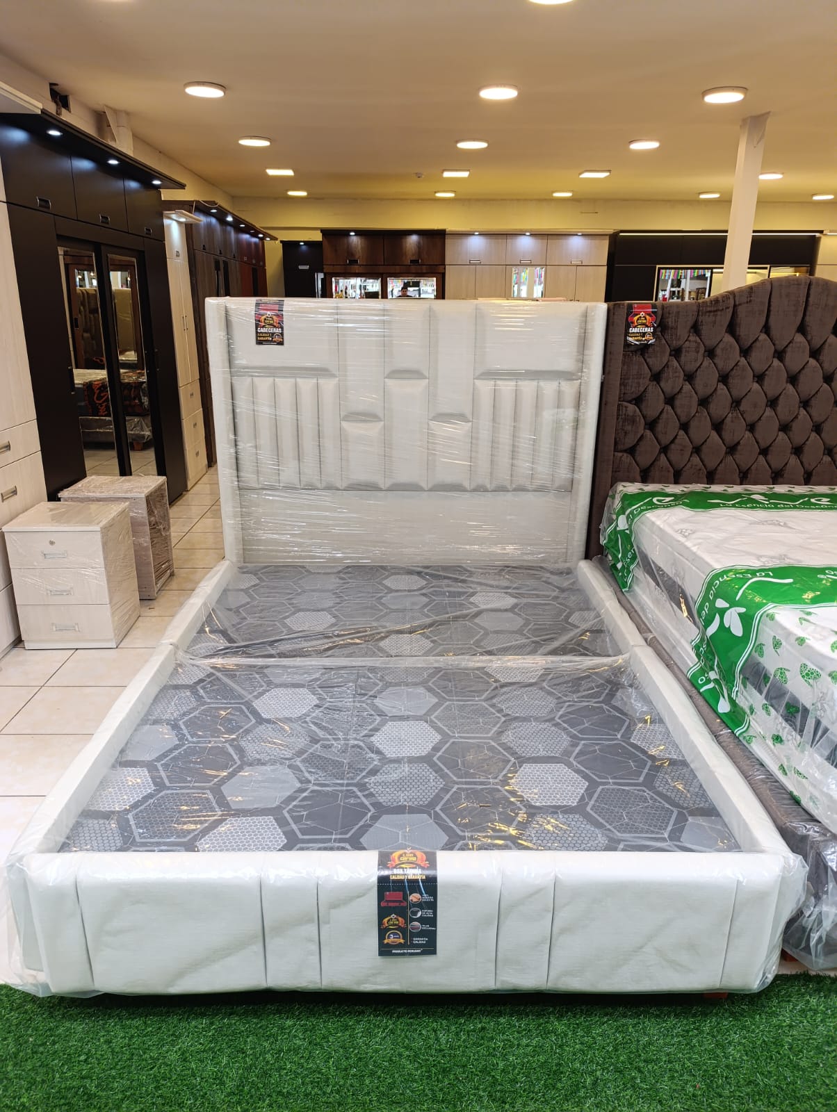 WhatsApp Image 2025-01-24 at 8.13.50 PM (1)