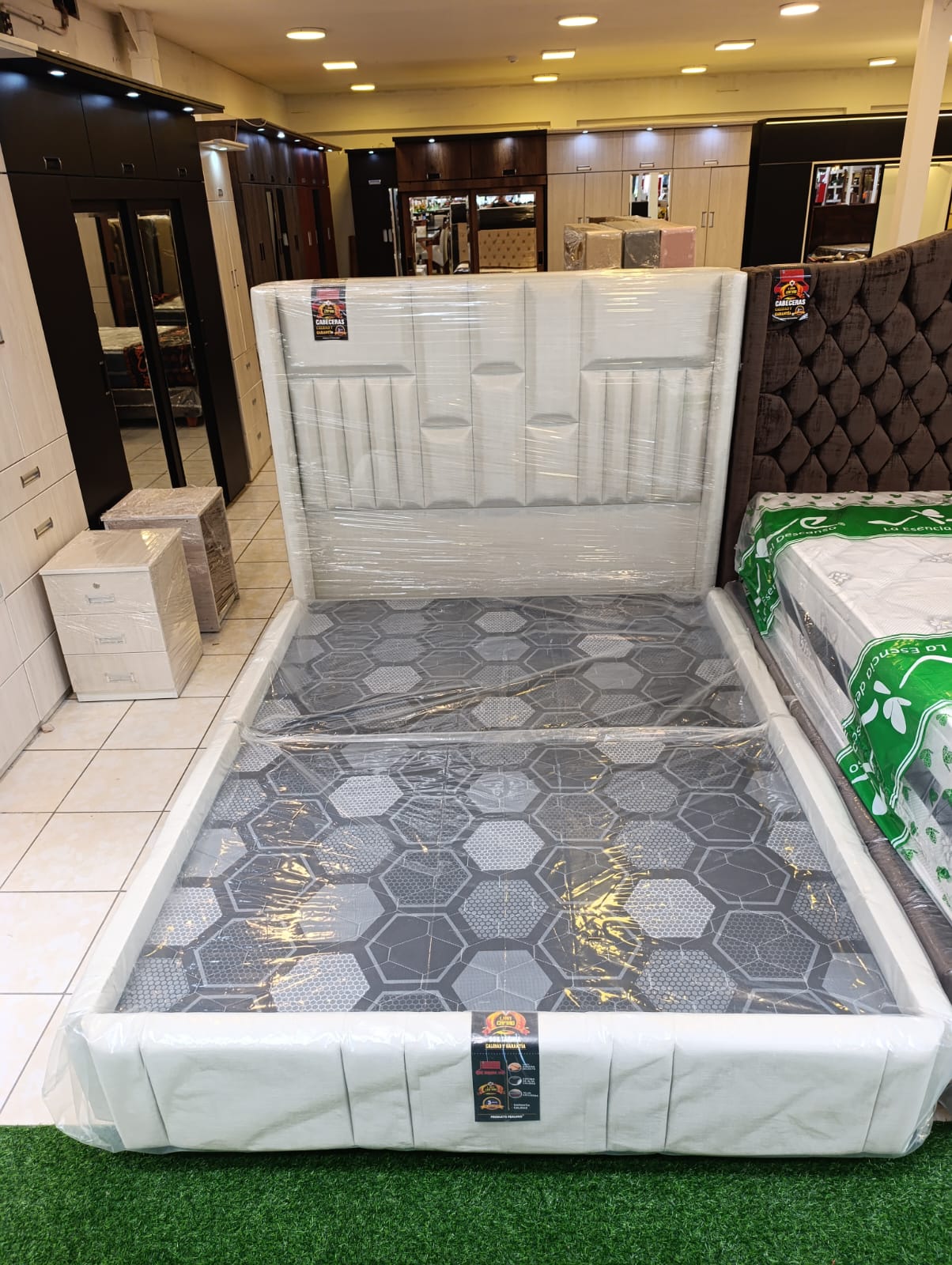 WhatsApp Image 2025-01-24 at 8.13.50 PM