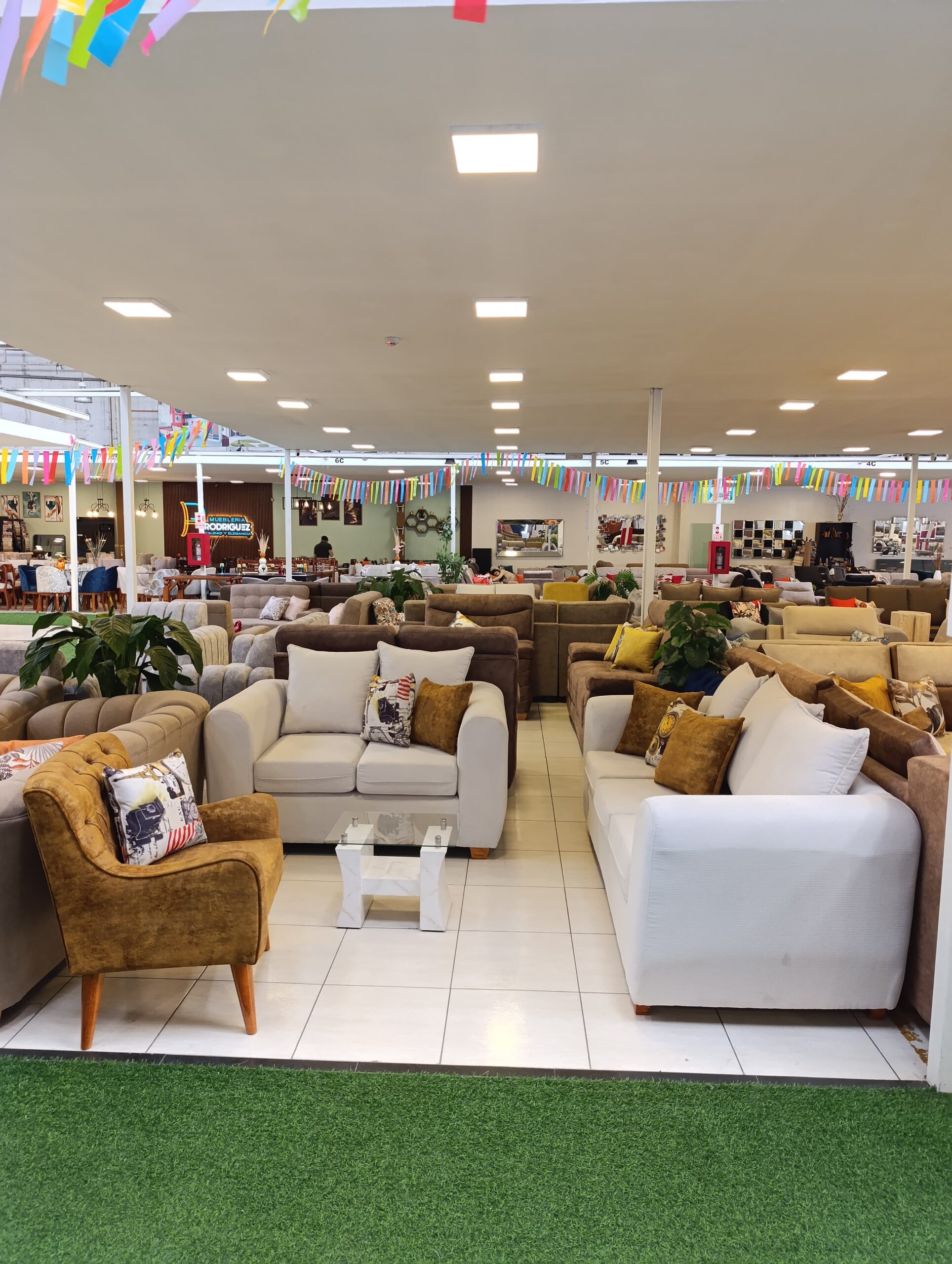 WhatsApp Image 2025-03-11 at 5.36.41 PM