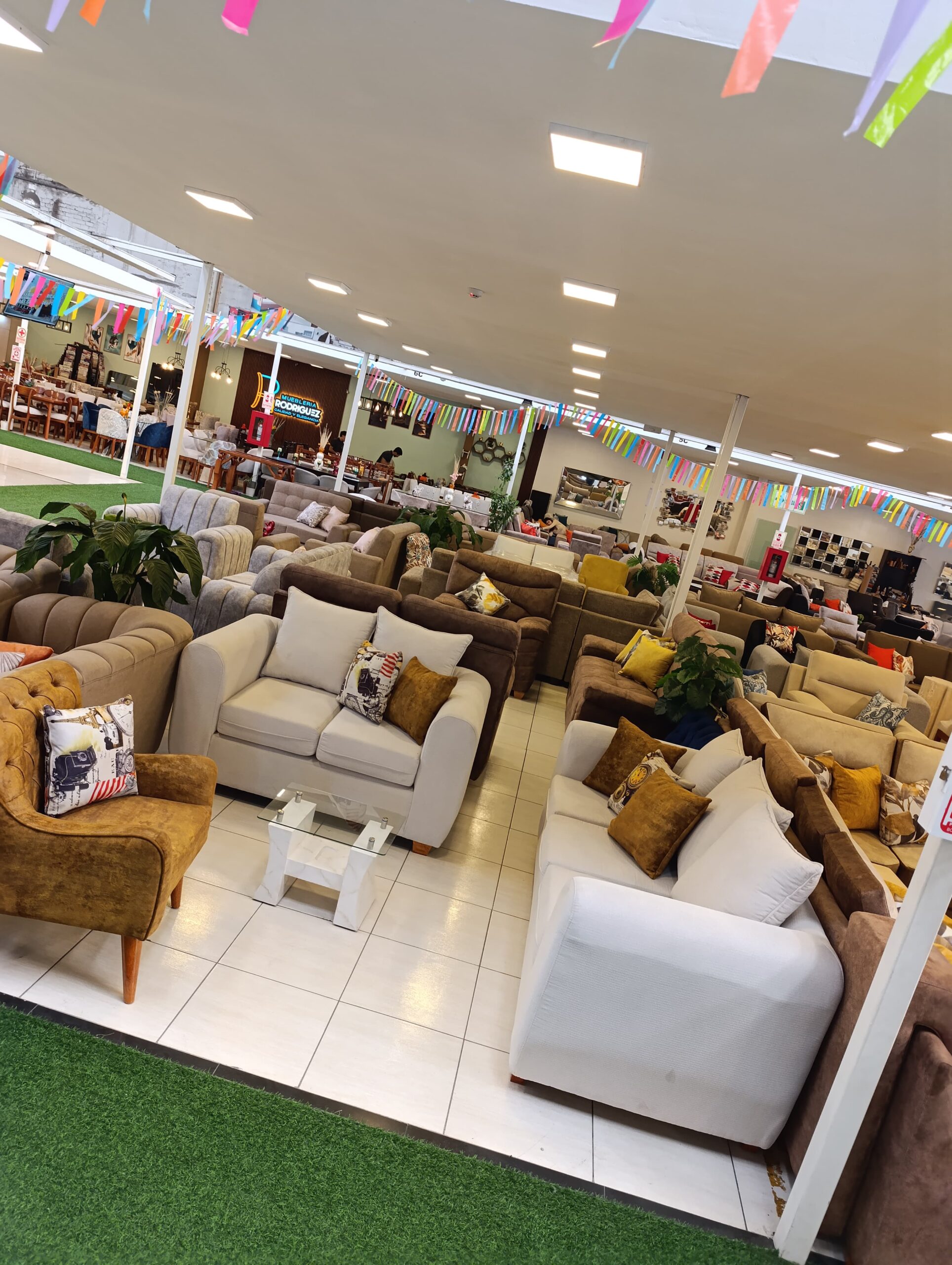 WhatsApp Image 2025-03-11 at 5.36.42 PM