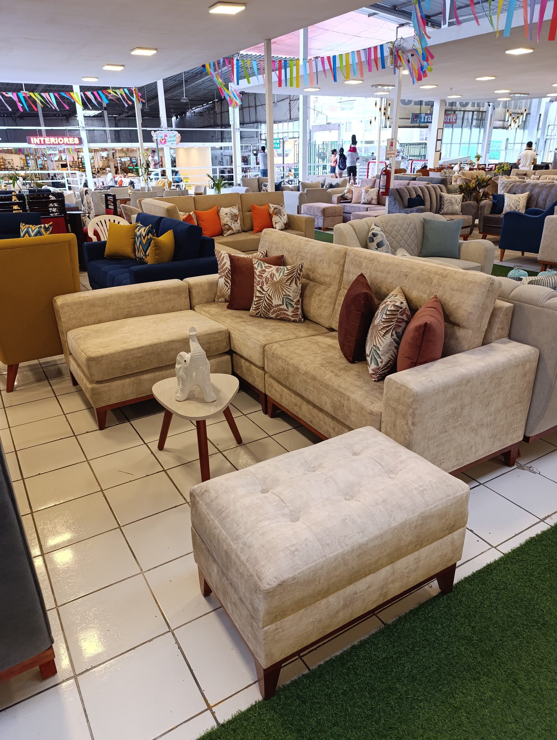 WhatsApp Image 2025-03-13 at 7.34.11 PM